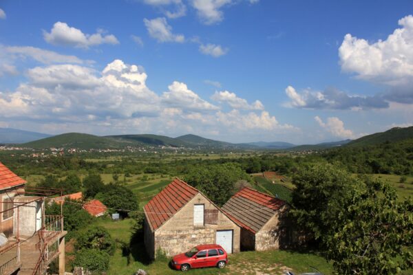 Dicmo - photo 8