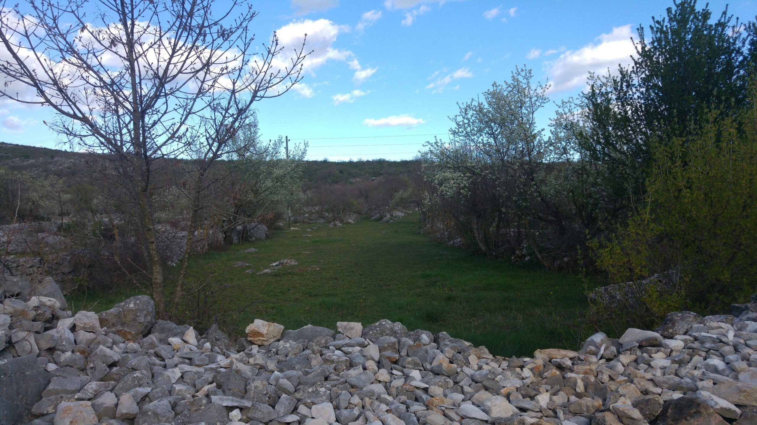 Gizdavac