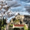 Grubine - photo 4
