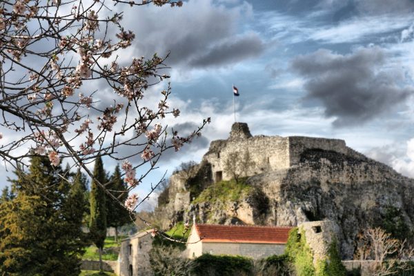 Grubine - photo 4