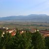 Grubine - photo 6