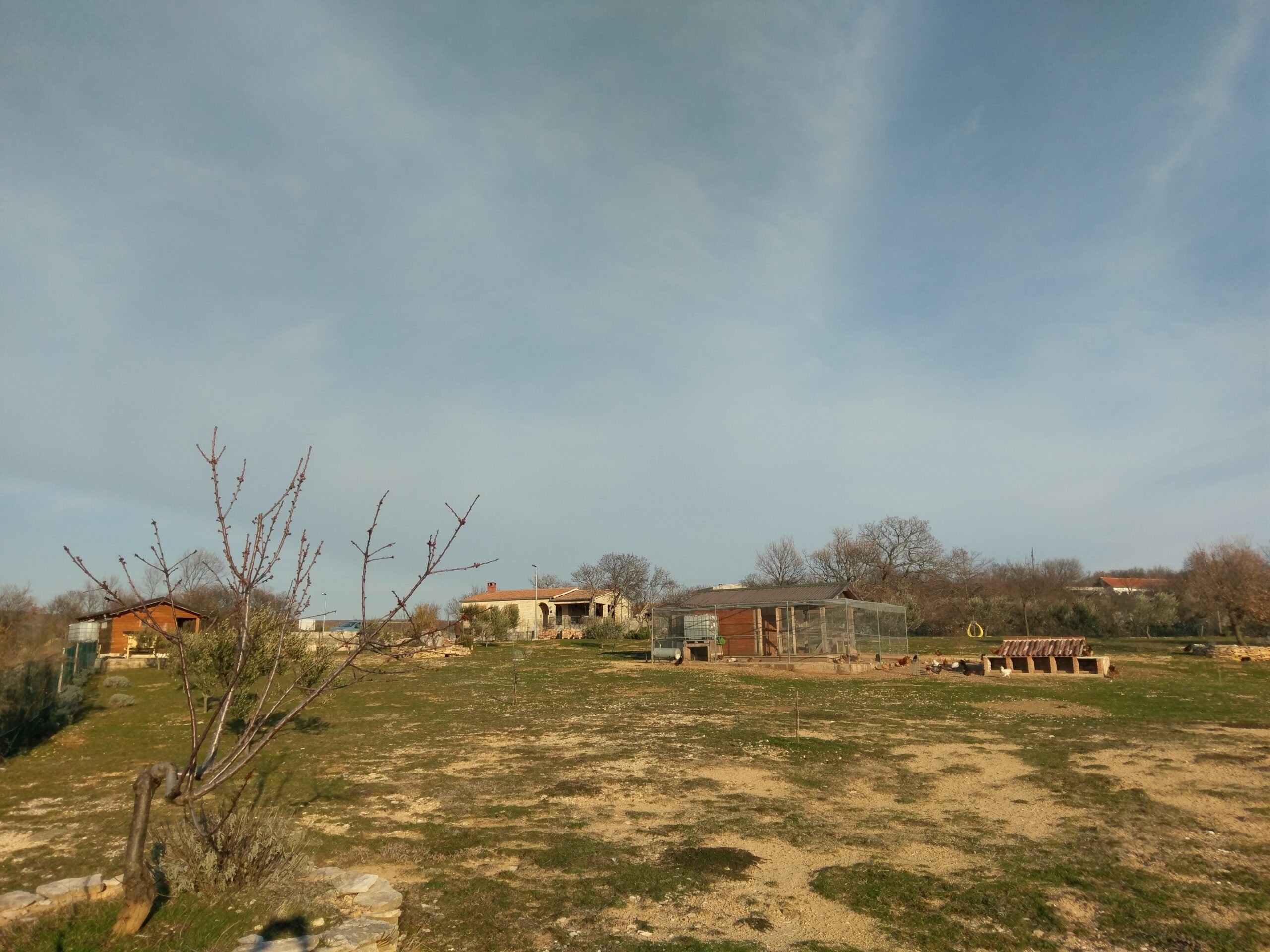 Popovići