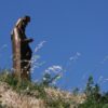 Sinj - photo 15