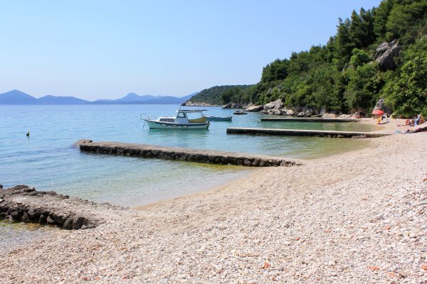 Banići