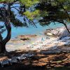 Cavtat - photo 59