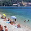 Orašac - photo 20