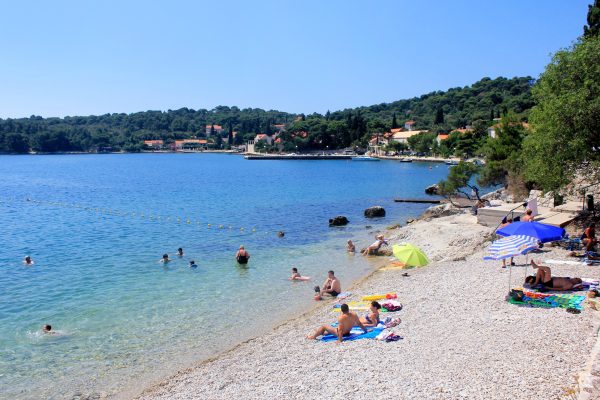 Orašac - photo 12