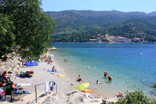 Orašac - photo 17