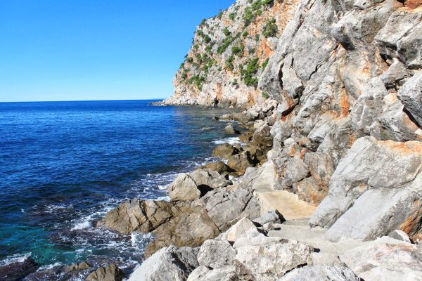 Popovići - photo 16