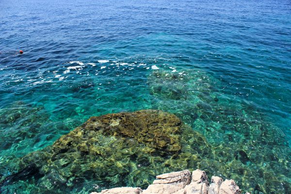 Popovići - photo 19