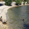 Slađenovići - photo 21
