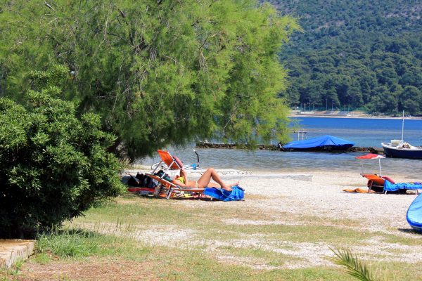 Slađenovići - photo 8