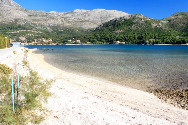 Slađenovići - photo 11