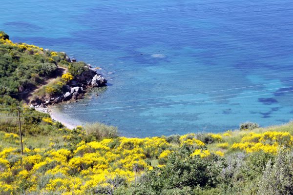 Soline - photo 12