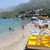 Žal - photo 25