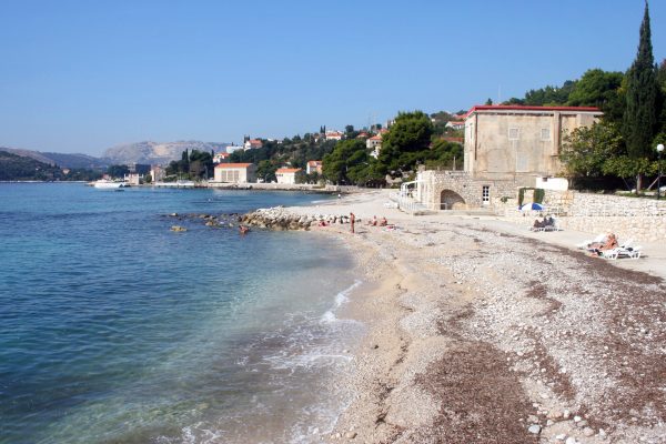 Astarea - photo 24