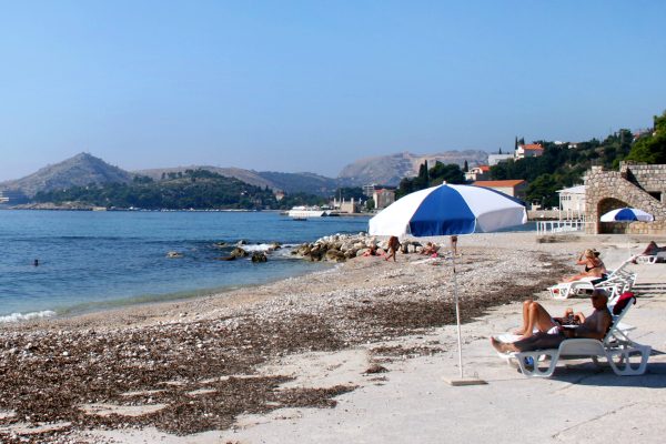 Astarea - photo 25
