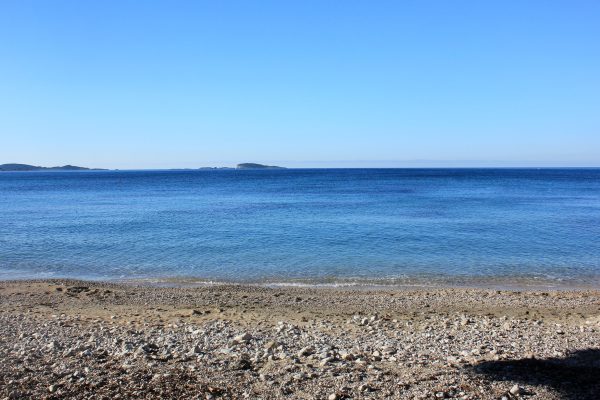 Astarea - photo 26