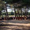 Božava - photo 42