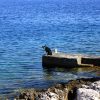 Jaz – Telašćica - photo 58