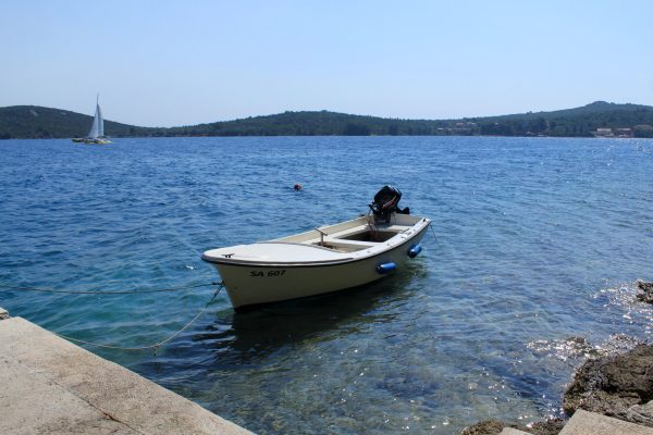 Luka - photo 26