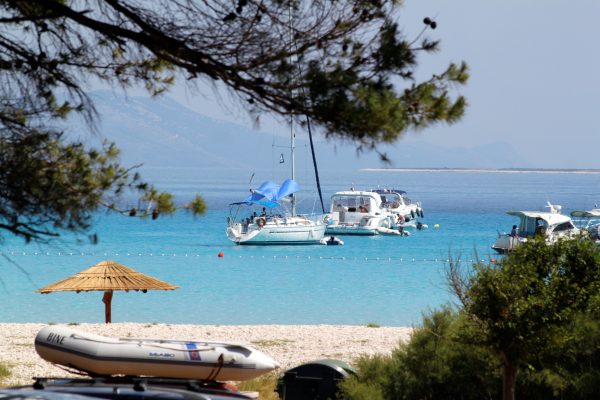Luka - photo 33