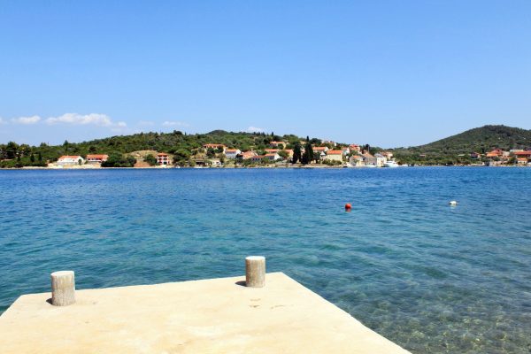 Luka - photo 23