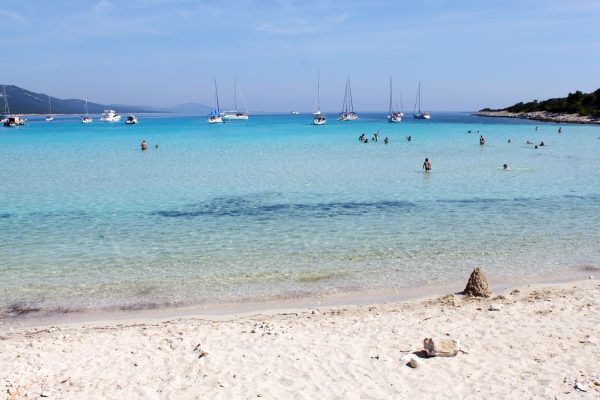 Sali - photo 58