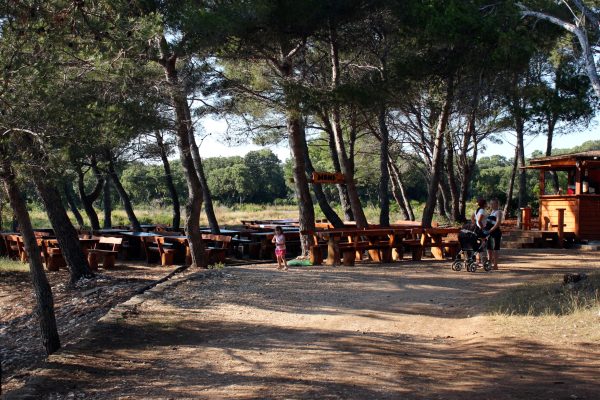 Soline - photo 27