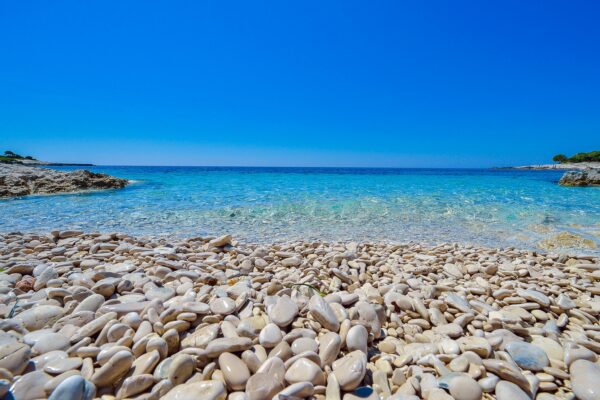 Veli Rat - photo 36