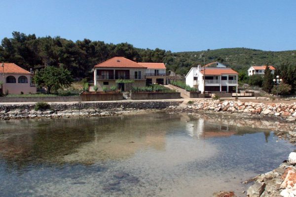 Žman - photo 24