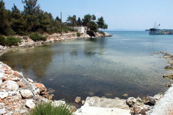 Žman - photo 28