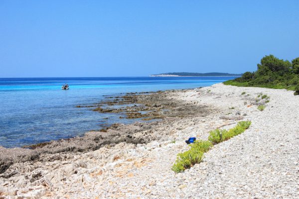 Veli Žal - photo 18