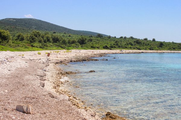 Veli Žal - photo 19