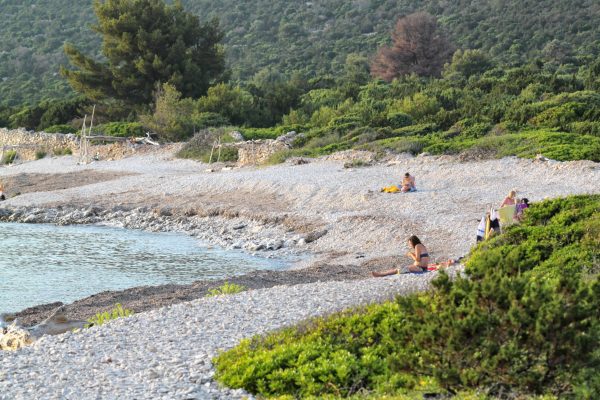 Veli Žal - photo 20