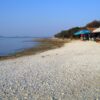 Barbariga - photo 8