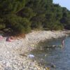Barbariga - photo 9
