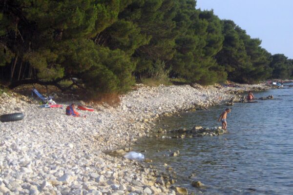 Barbariga - photo 9