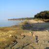 Barbariga - photo 10