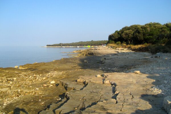 Barbariga - photo 10