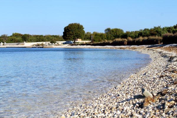 Barbariga - photo 3