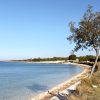 Barbariga - photo 4