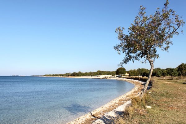 Barbariga - photo 4