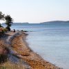 Barbariga - photo 8