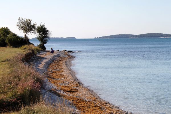 Barbariga - photo 8