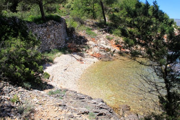 Basina - photo 15