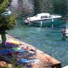 Basina - photo 26