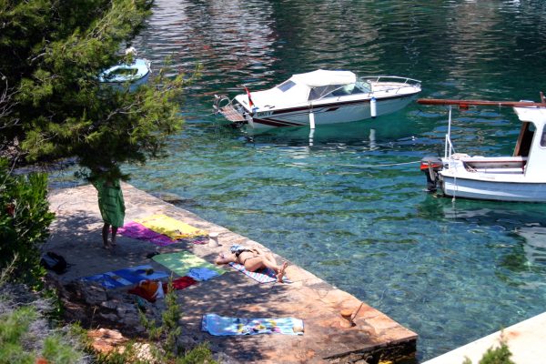 Basina - photo 26