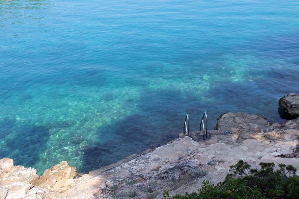 Basina - photo 28