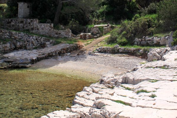 Basina - photo 29